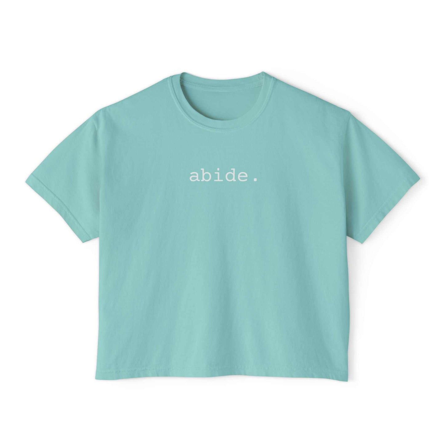 Abide Faith Boxy Tee
