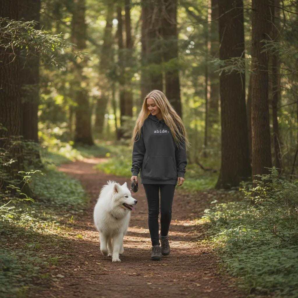 Christian Abide Hoodie – Unisex Faith-Based Apparel