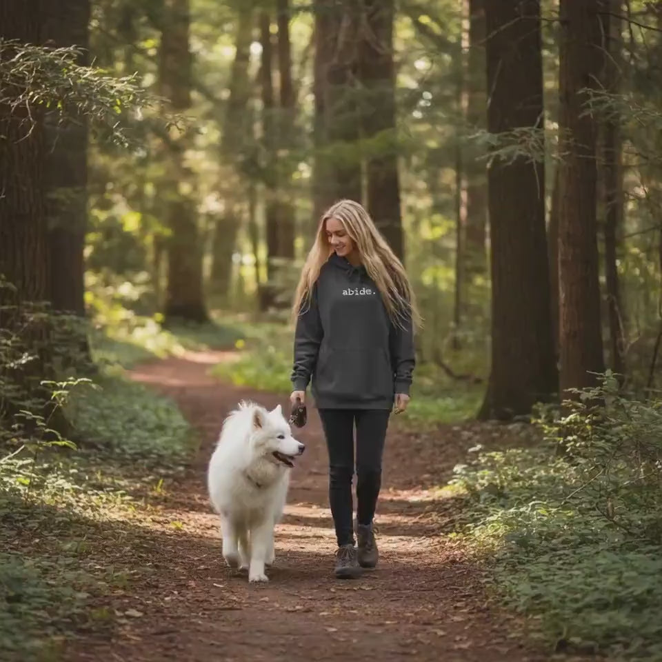 Christian Abide Hoodie – Unisex Faith-Based Apparel